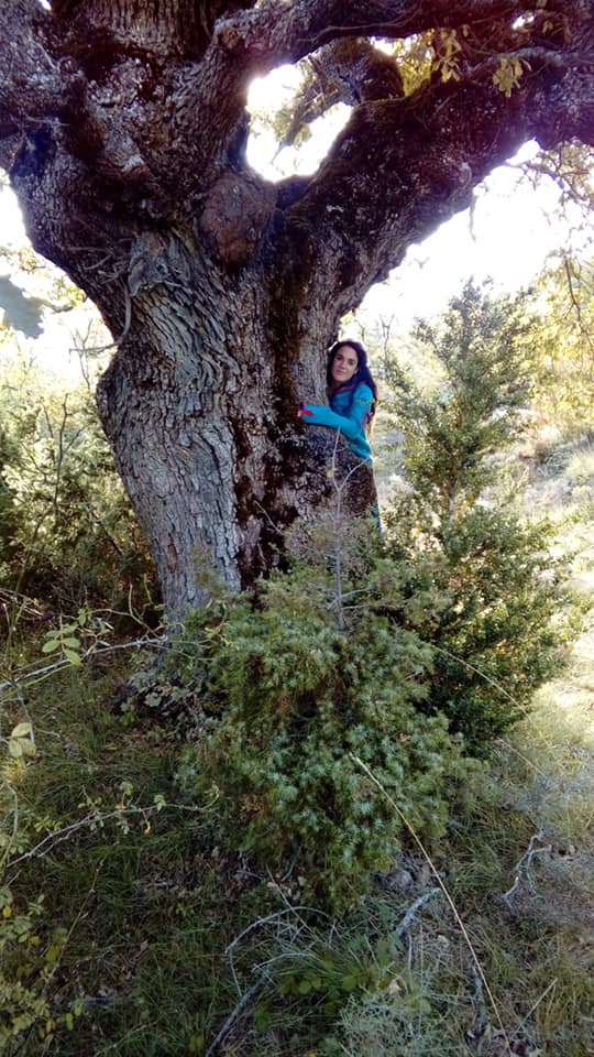 Sandra en un árbol